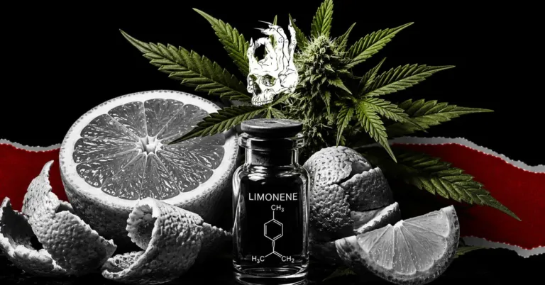 Limonene: The Citrus Terpene That Might Take the Edge Off