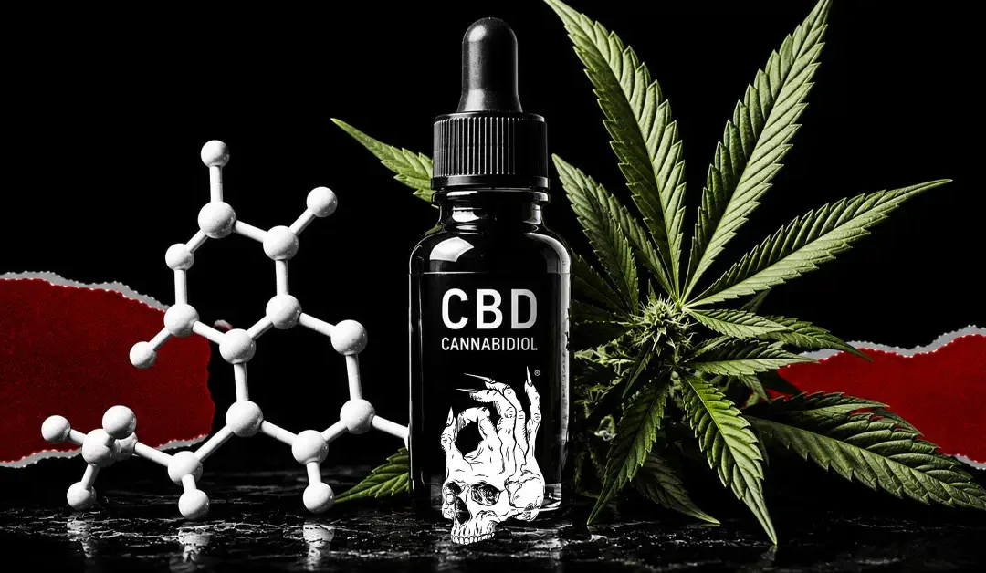 Black-and-white molecular model and CBD oil bottle beside a green cannabis plant against a dark background with a red torn-paper accent, representing cannabidiol (CBD), the non-intoxicating cannabinoid found in cannabis.
